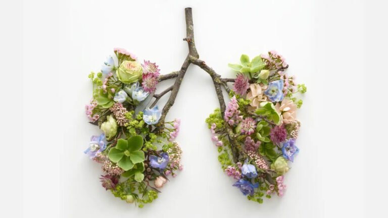 płuca stworzone z roślin, oddech, oddychanie, techniki relaksacji