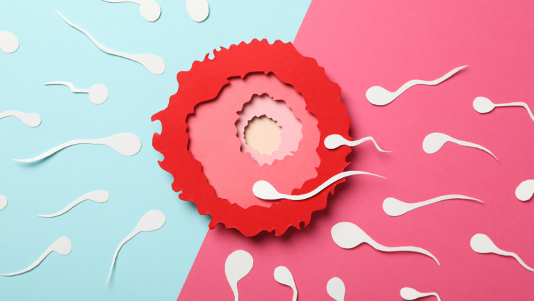 poruszające sie plemniki i jajeczko